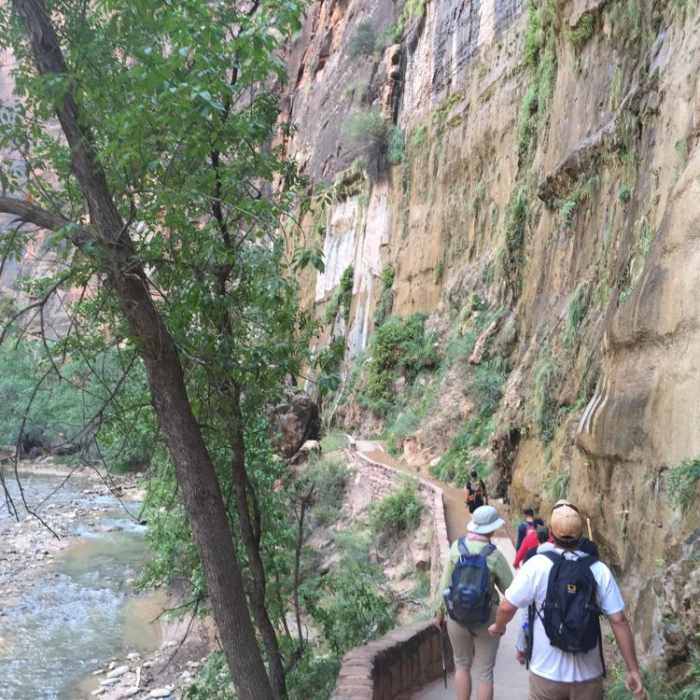 Near The Narrows: Top Down Near The Narrows: Top Down
