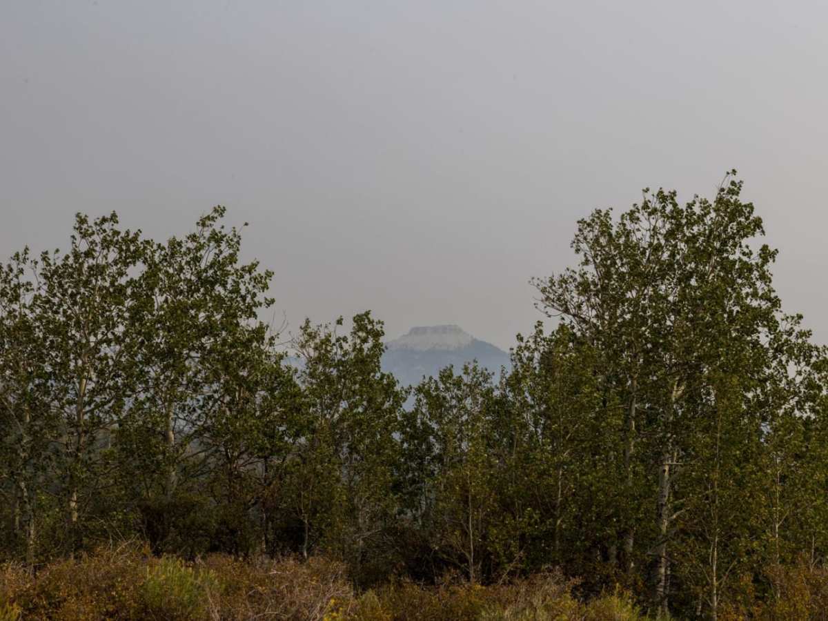 Bull Valley Trail trail photo