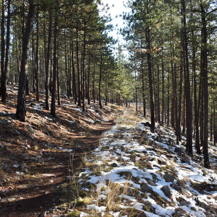 Near Blue Mountain National Recreation Trail