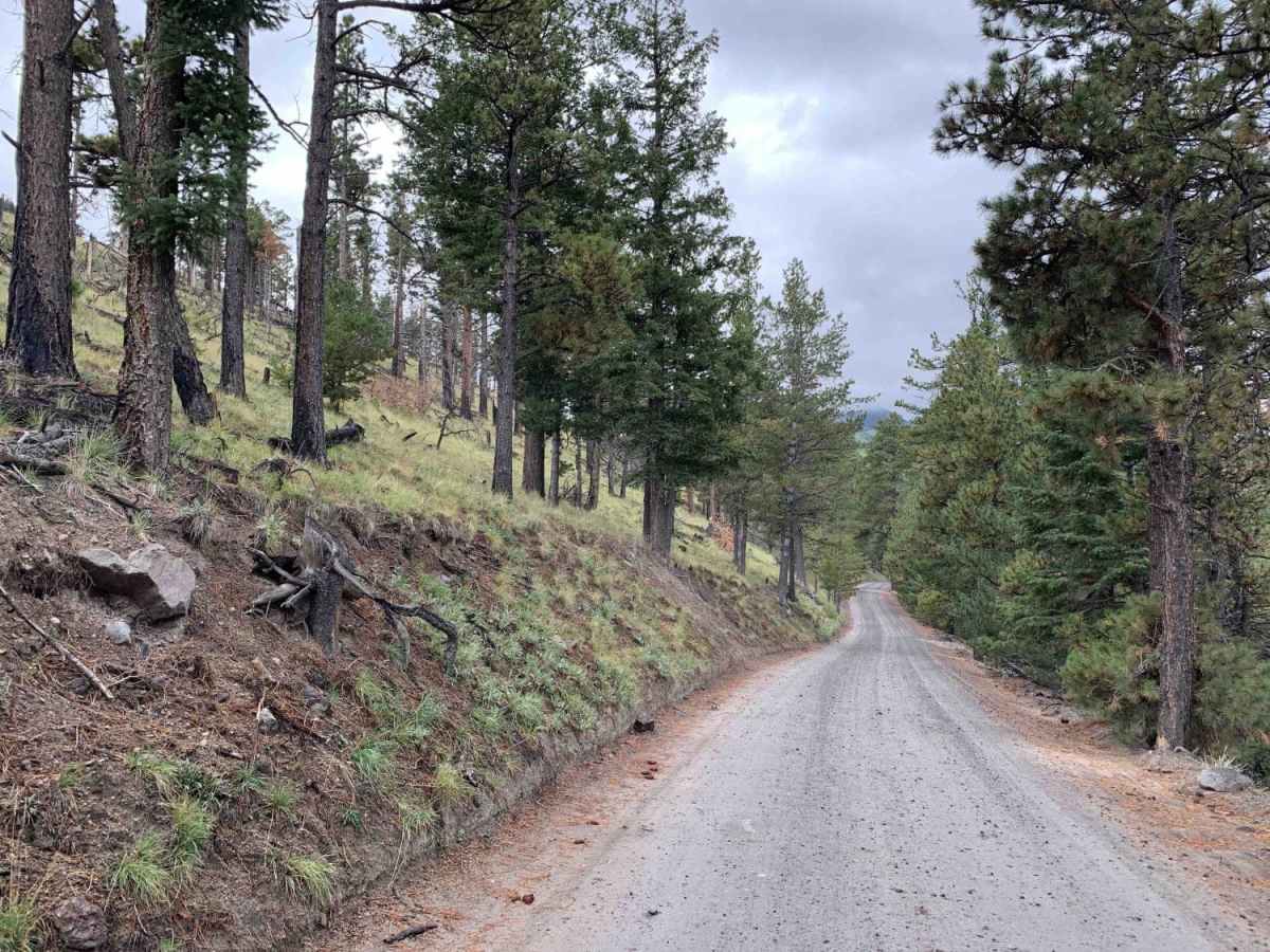 Lockett Meadow Trail photo 4