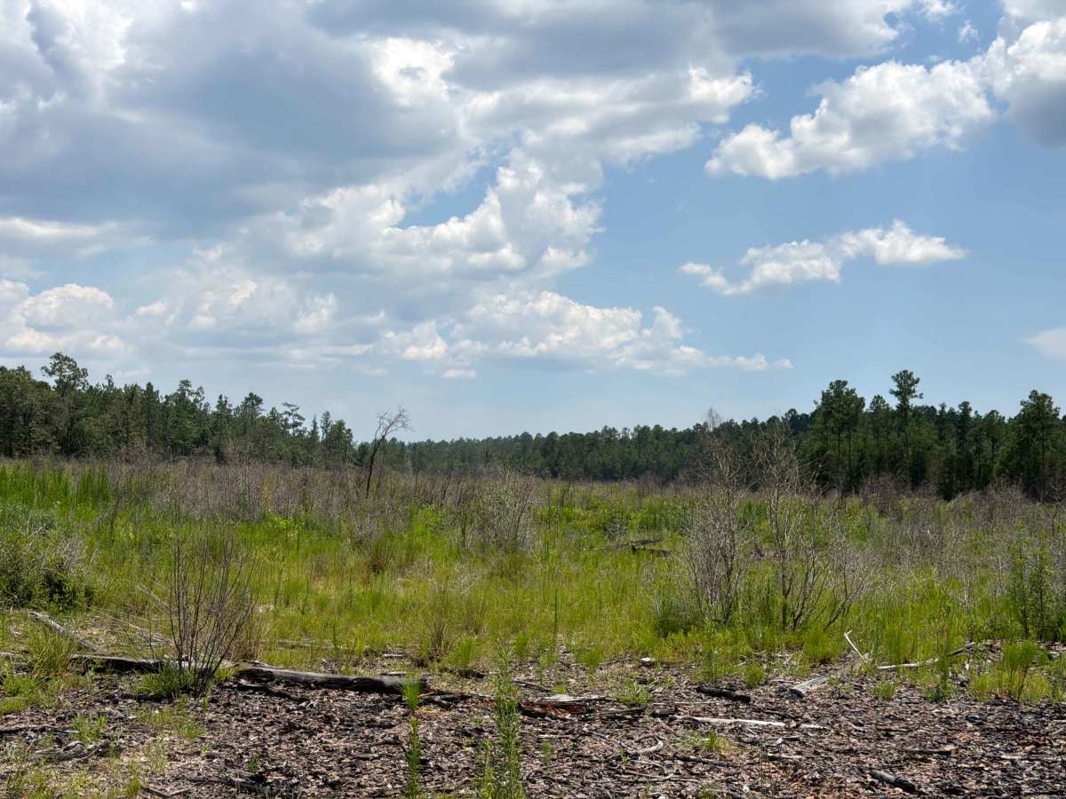 Prairie Trail photo 4