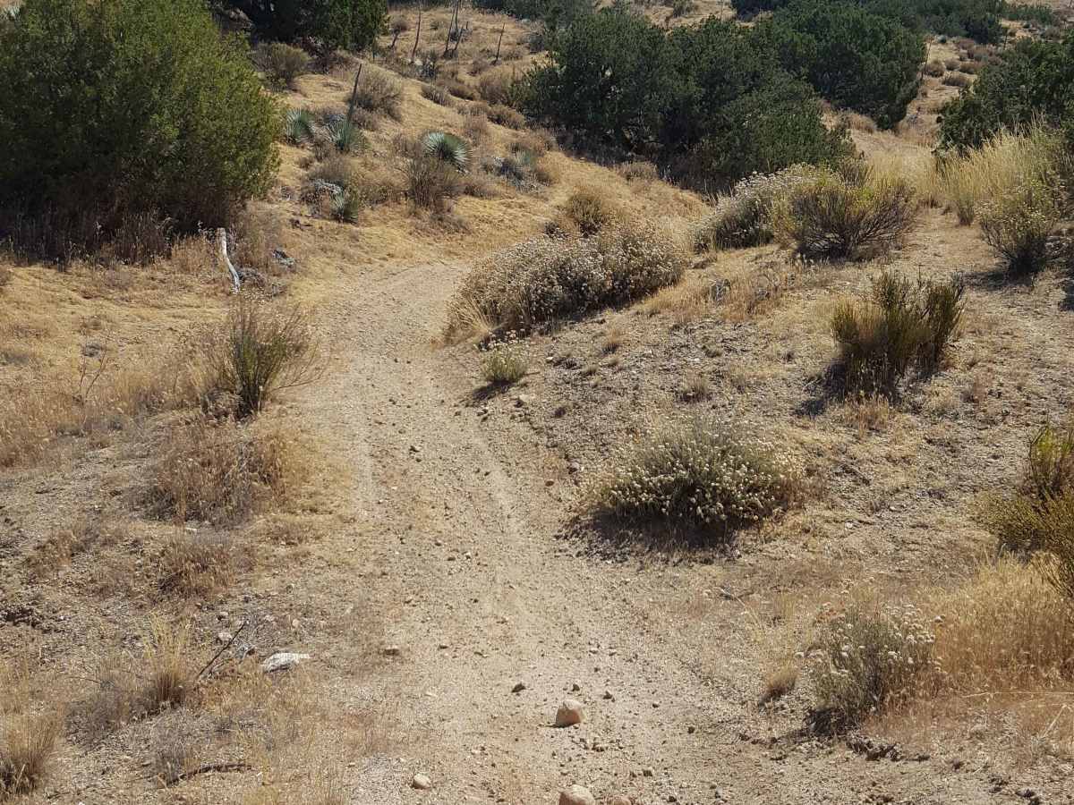 Trail 43 photo 3