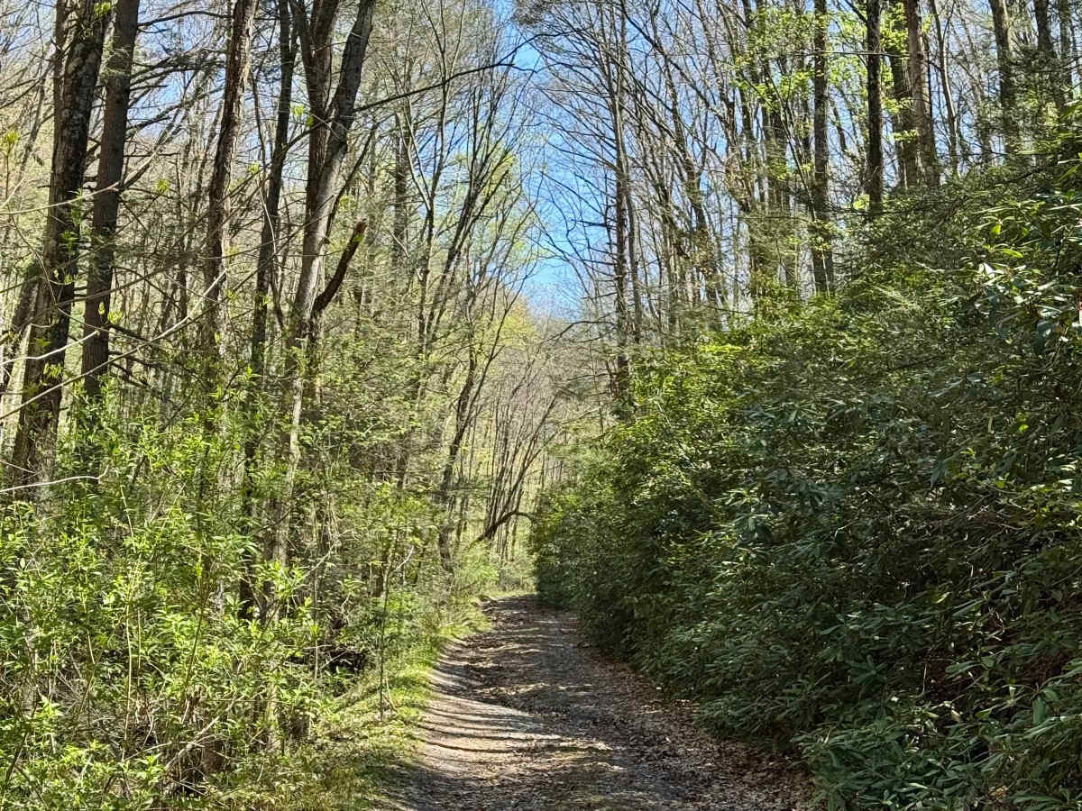 Stillhouse Hollow Rd photo 6