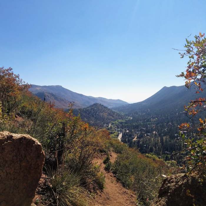 Near Mt. Dewey Trail - Summit Section