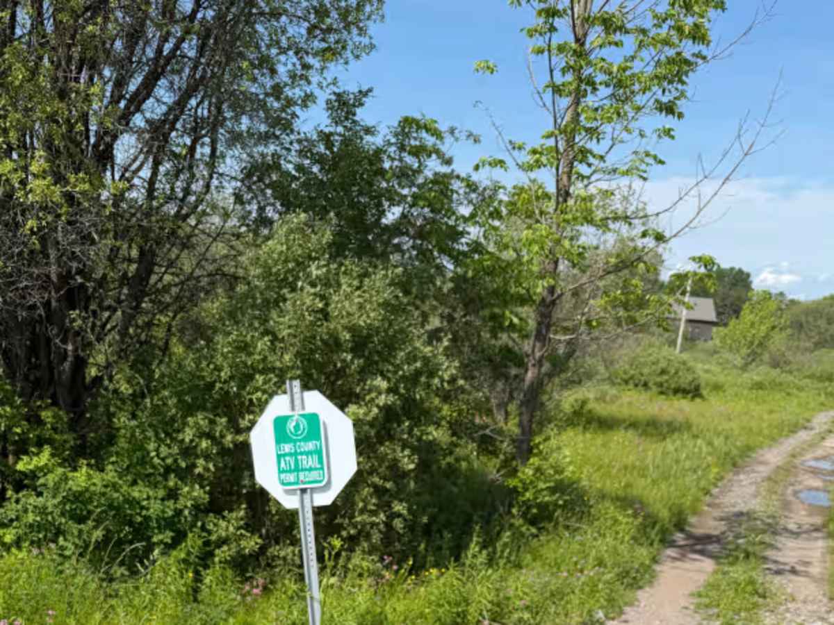Zimmer Road Spur trail photo