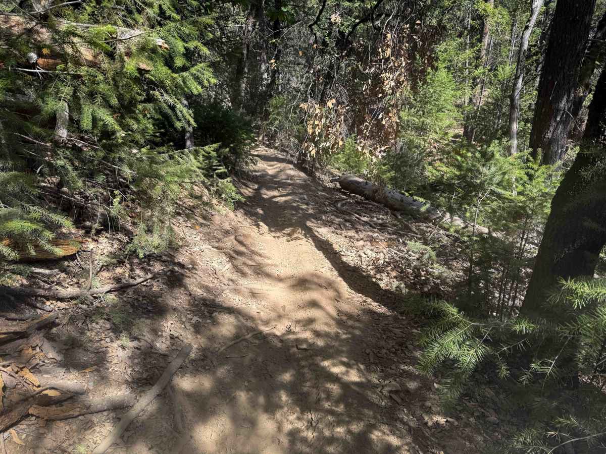 Trail 6-1 (11E28)  photo 6
