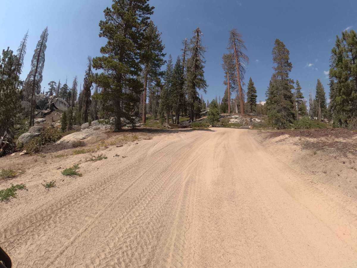 45 Cutoff - FS 25E309 photo 3