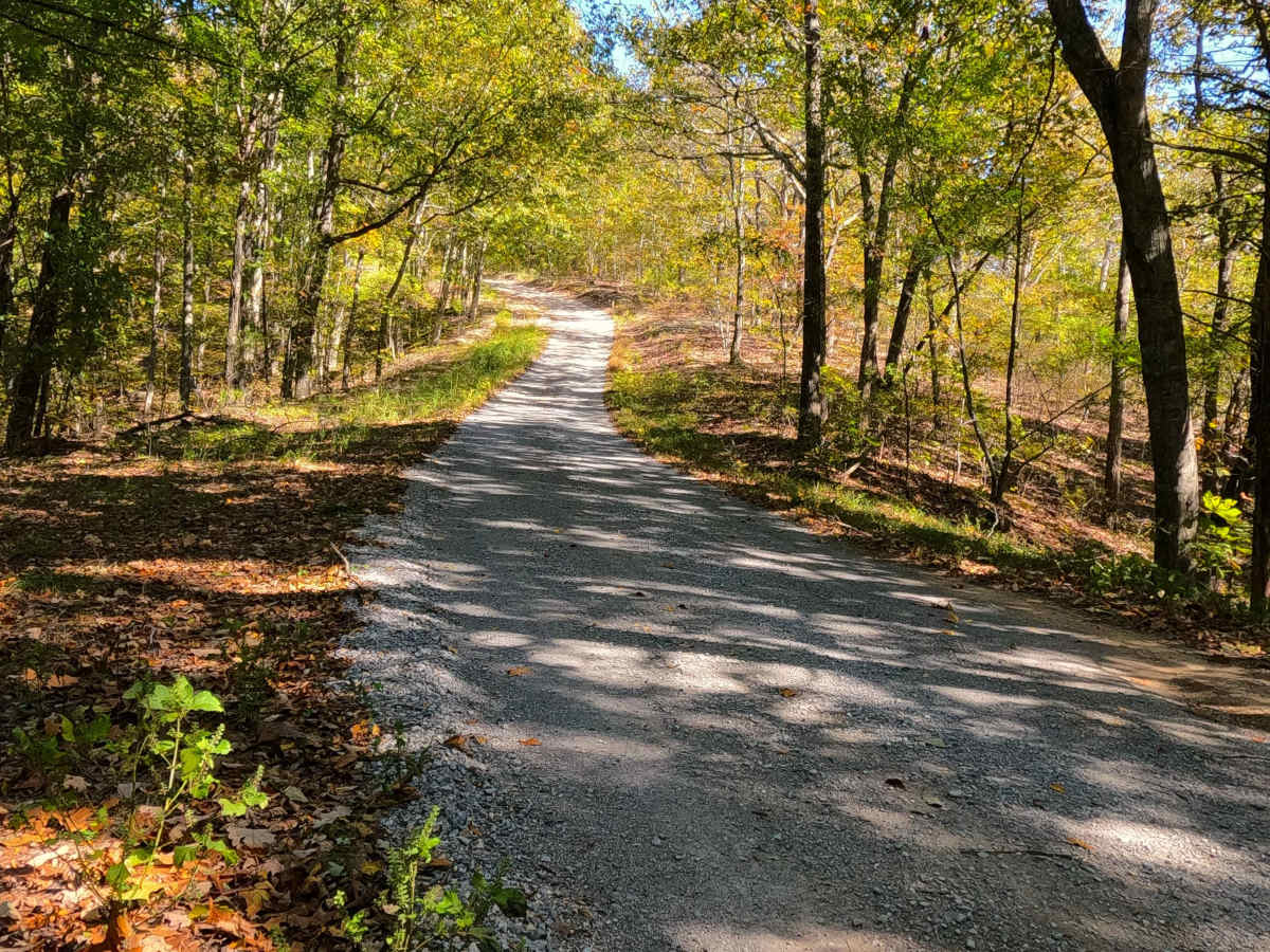 Bogard Road - FS 157 trail photo
