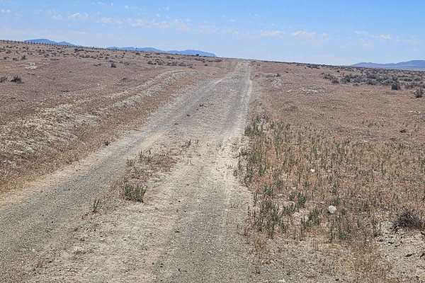 Gold Digger's Trail