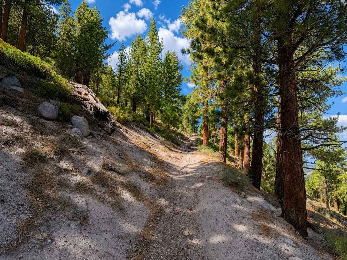 Hartley Spur Trail photo 2