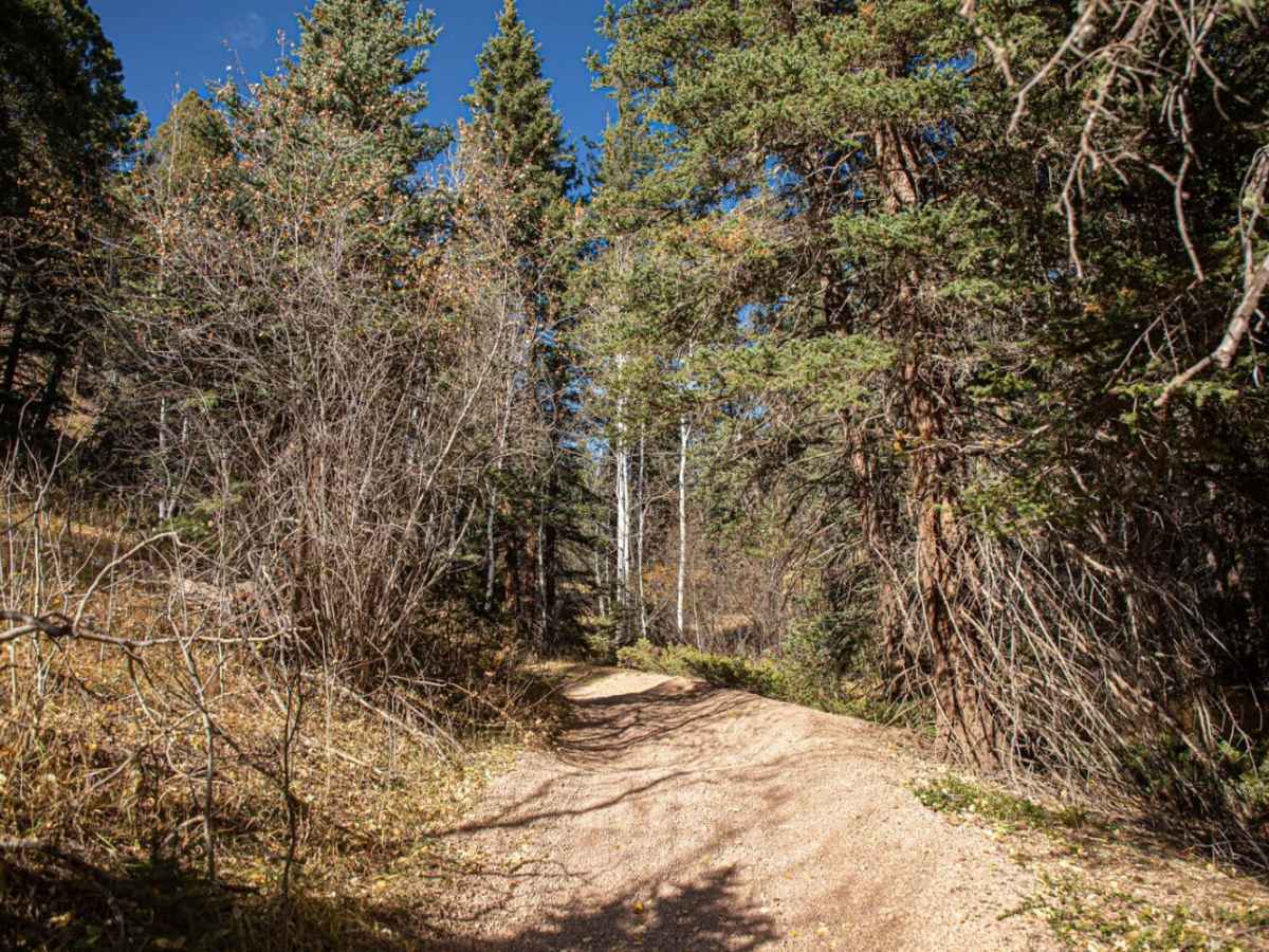 Trout Creek (FS 649) photo 5