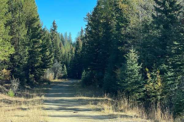 Crescent to Beaver Lake Road