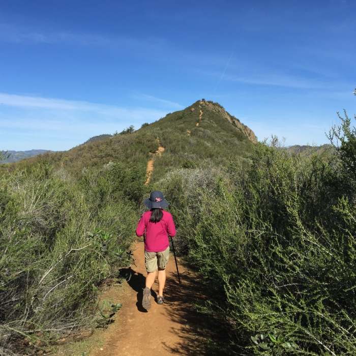 Near Stebbins Cold Canyon Loop