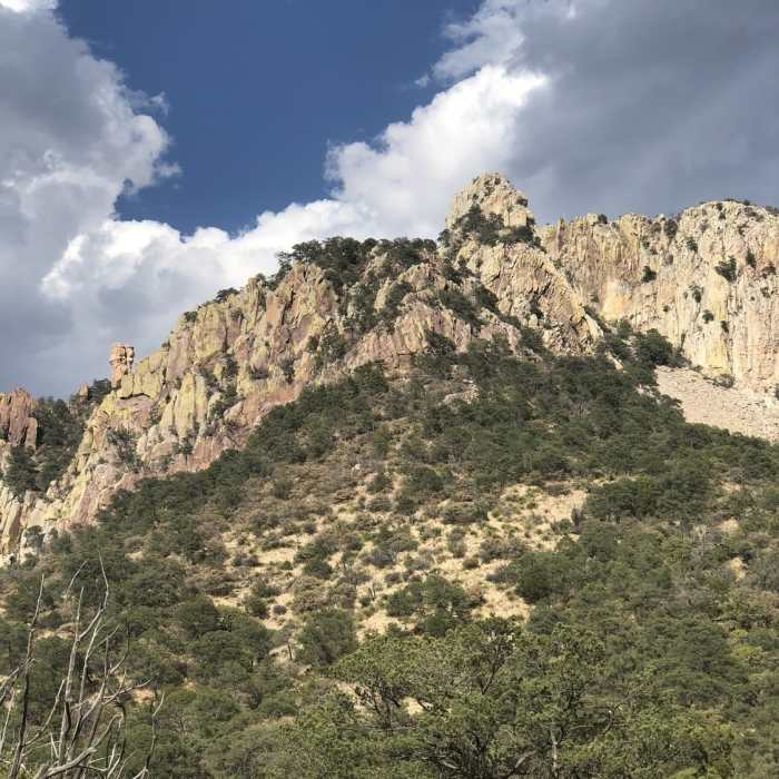 Near Laguna Meadow Trail