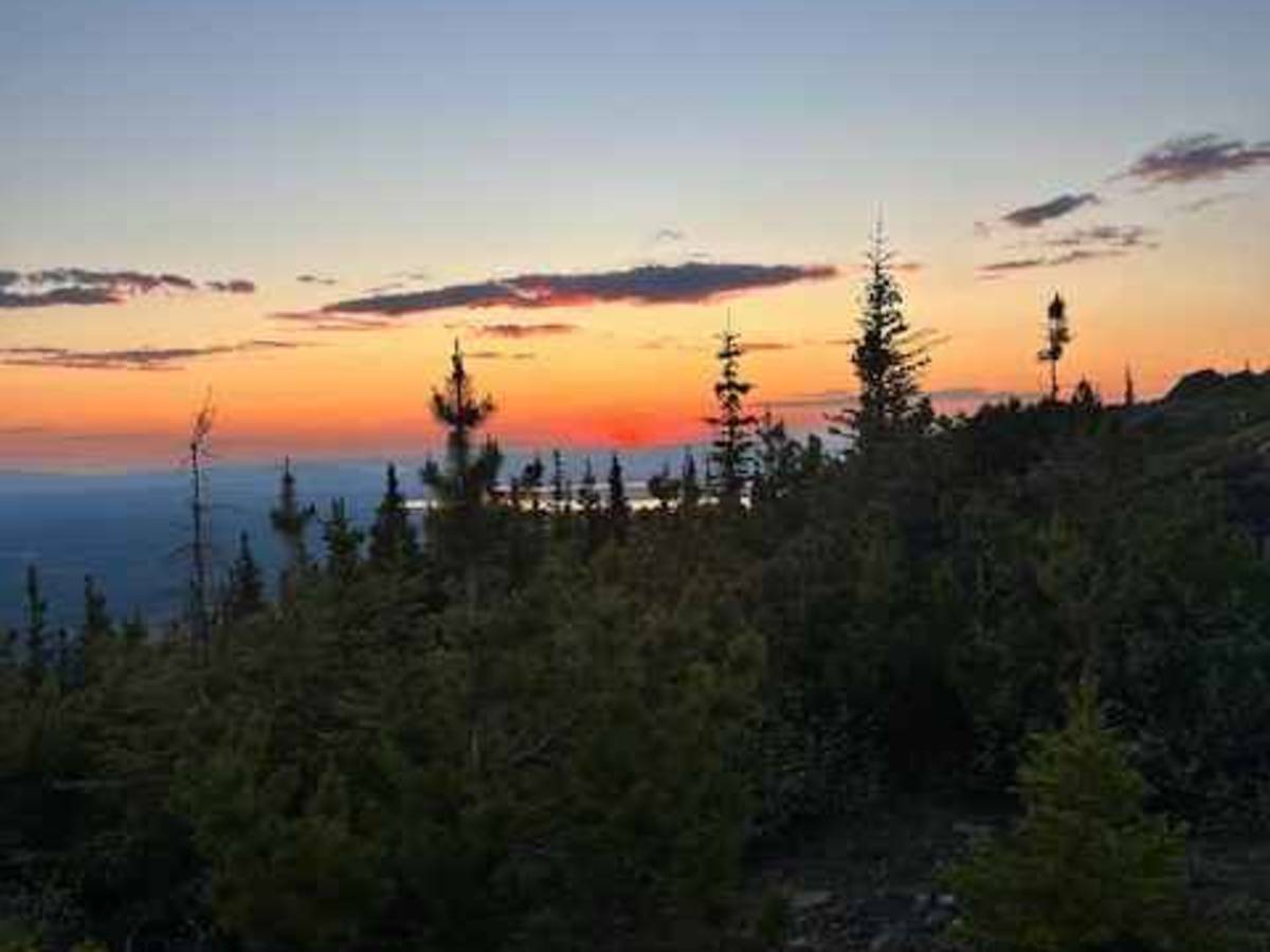 Sinkut Mountain Fire Lookout Tower photo 6