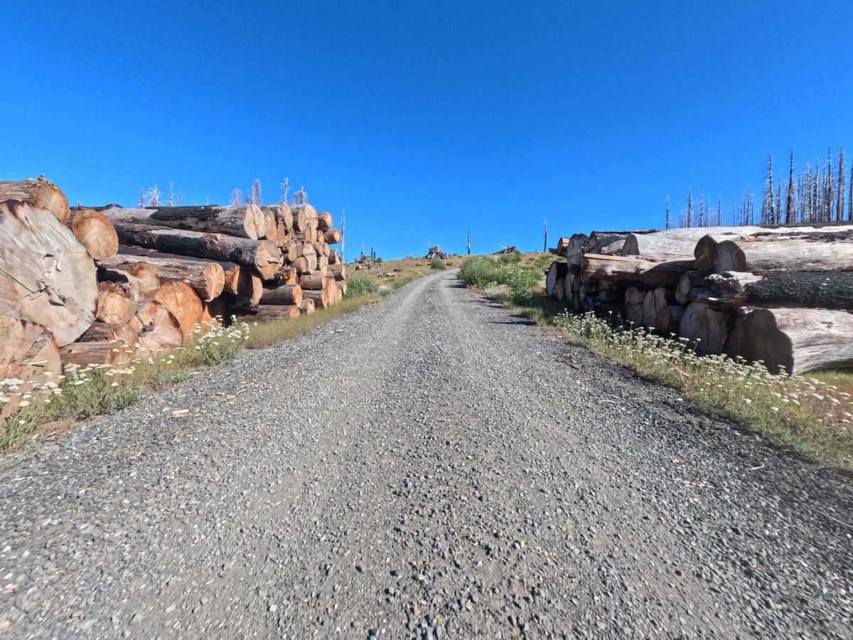 Boundary Road - FS 22N26 photo 3