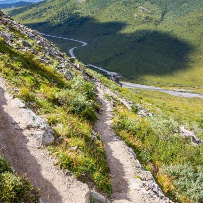 Near Savage Alpine Trail Near Savage Alpine Trail