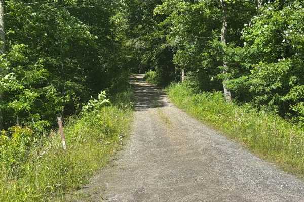 Barnett Creek - FS 6236