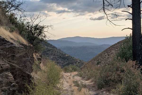Buffalo Gulch Road