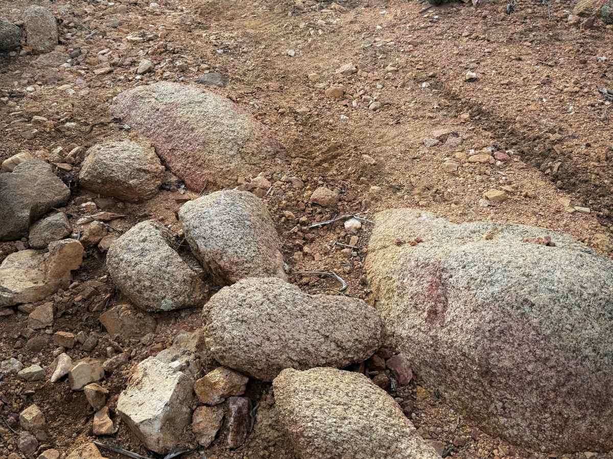 H1332/BLM 7226 photo 4