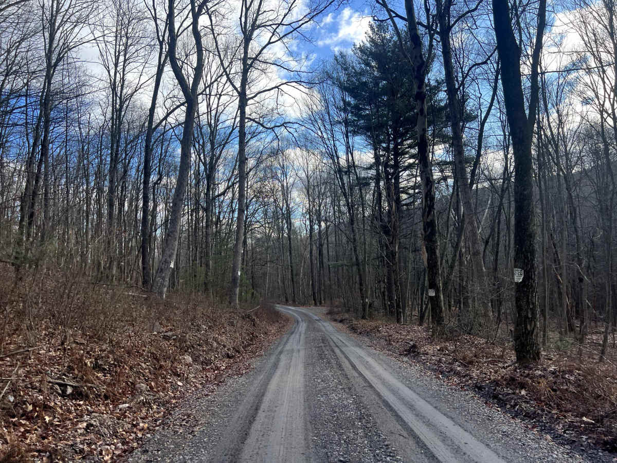 Bear Creek Road photo 2
