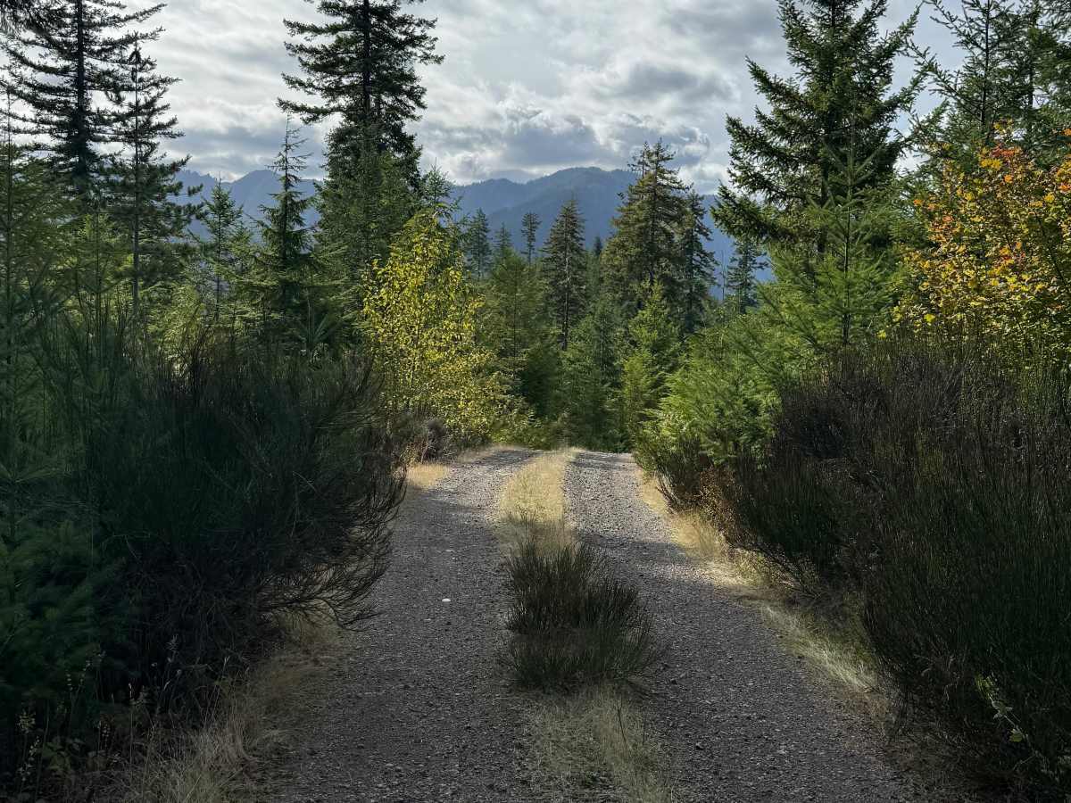 DNR Road 124 photo 6
