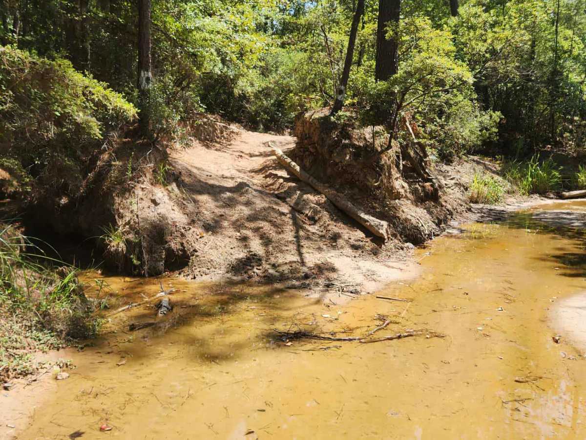 Spring Fed Creek trail photo