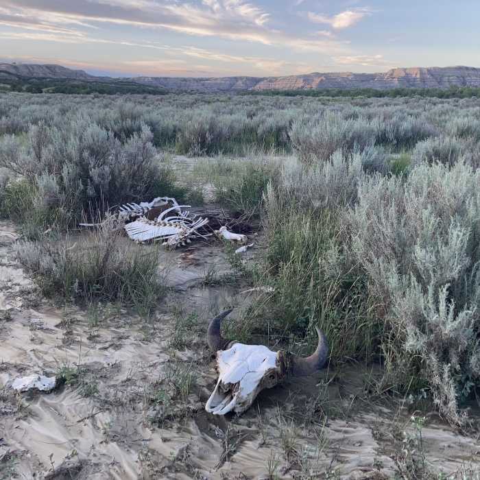 Near Achenbach Trail