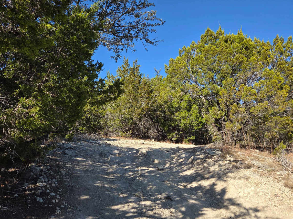 Slither Spur photo 2