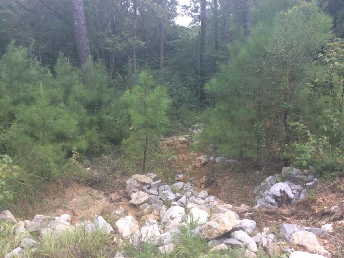 HCNF Woodlawn Trail photo 2