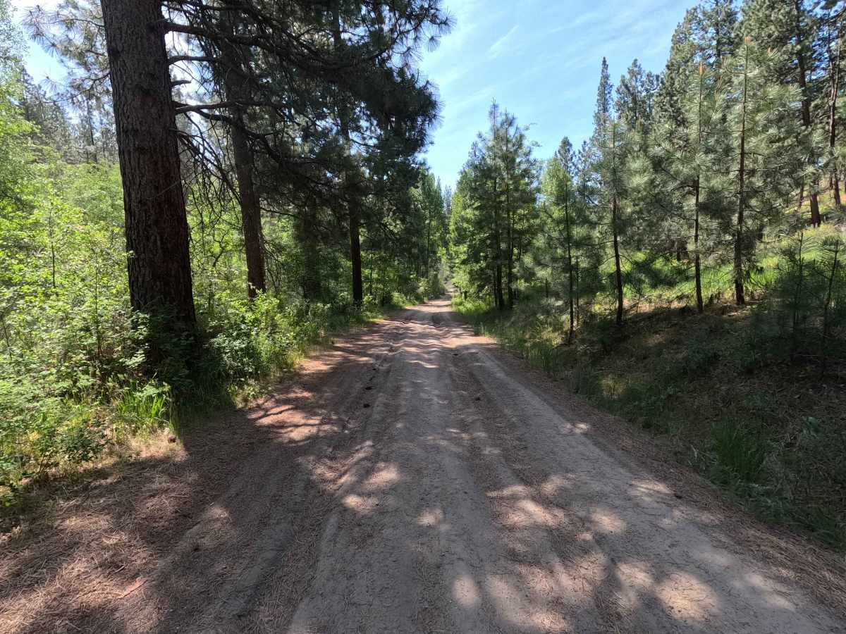 Mud Creek Road - FS 53 photo 4