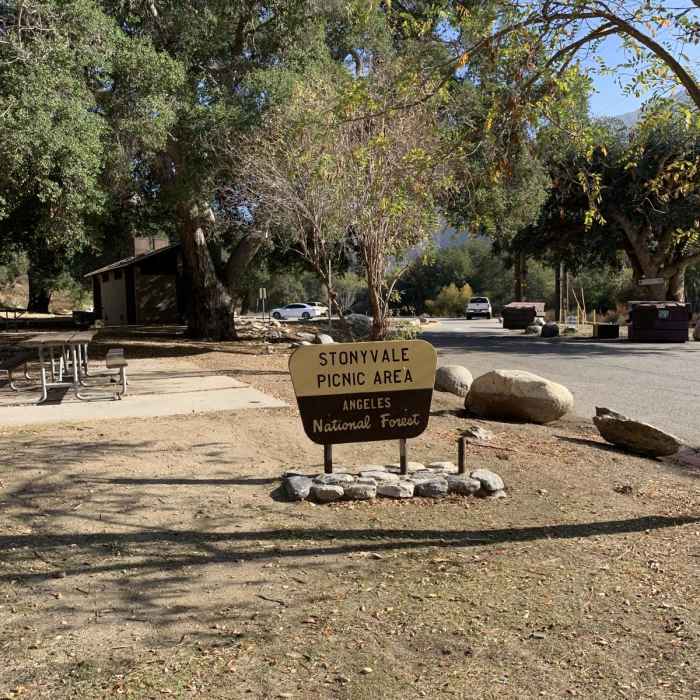 Near Grizzly Flat Trail