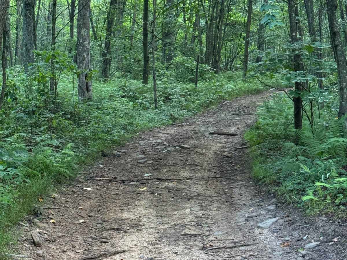 Trail 48 photo 4