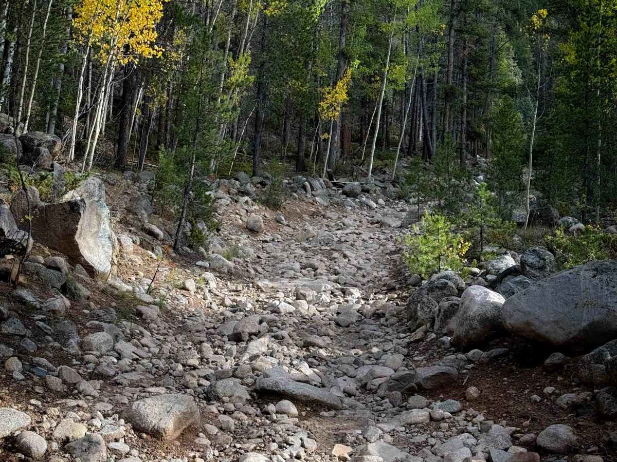 South Quartz Trail - FS 483 trail photo