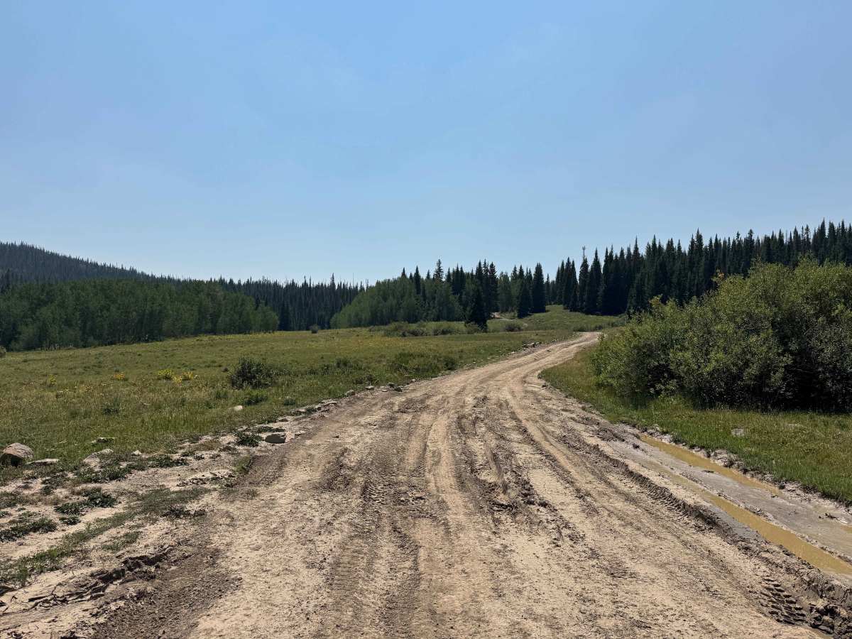 Harper Road - FS 915 photo 6