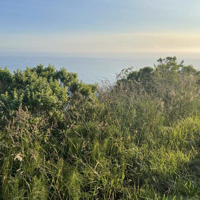 Near Klamath River Overlook