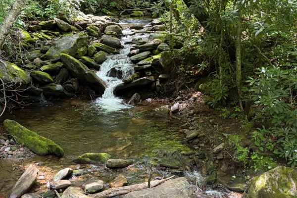 Davidson River Road - FS 475