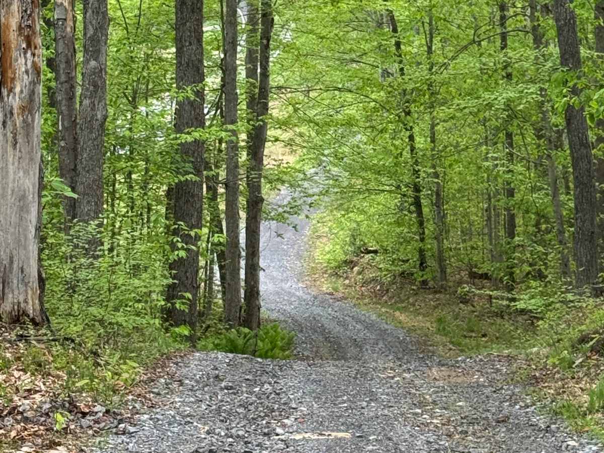 Coudy Pike Trail North photo 2