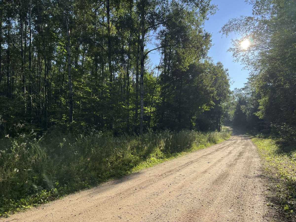 Tie Mill Road - FS 2402 photo 6