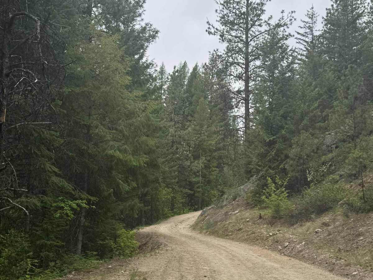 Fritz Creek - FS 2000-400 photo 5