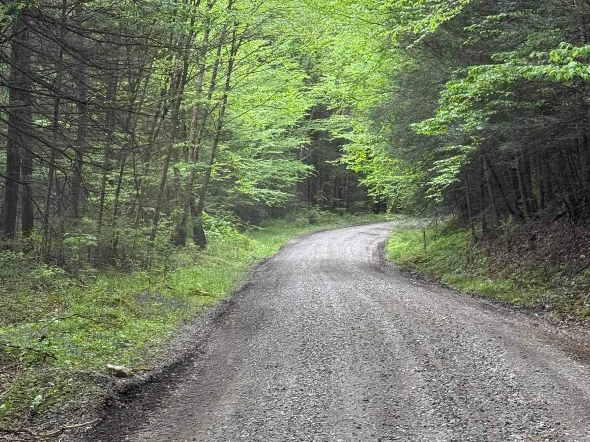 Stoney Run Road photo 4