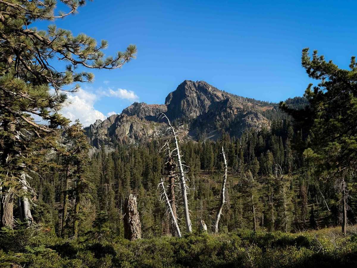 Gold Valley Connector  trail photo