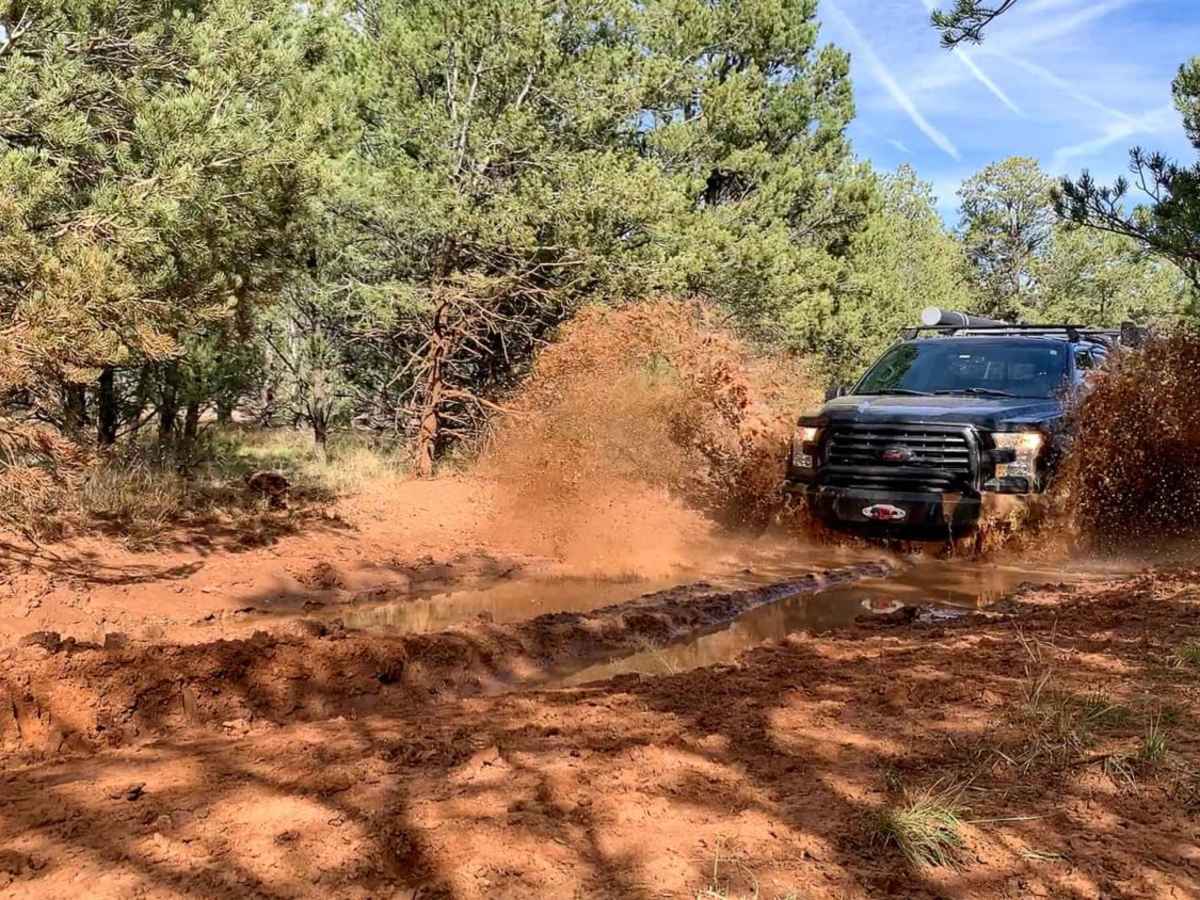 The Great Western Trail 150 photo 3