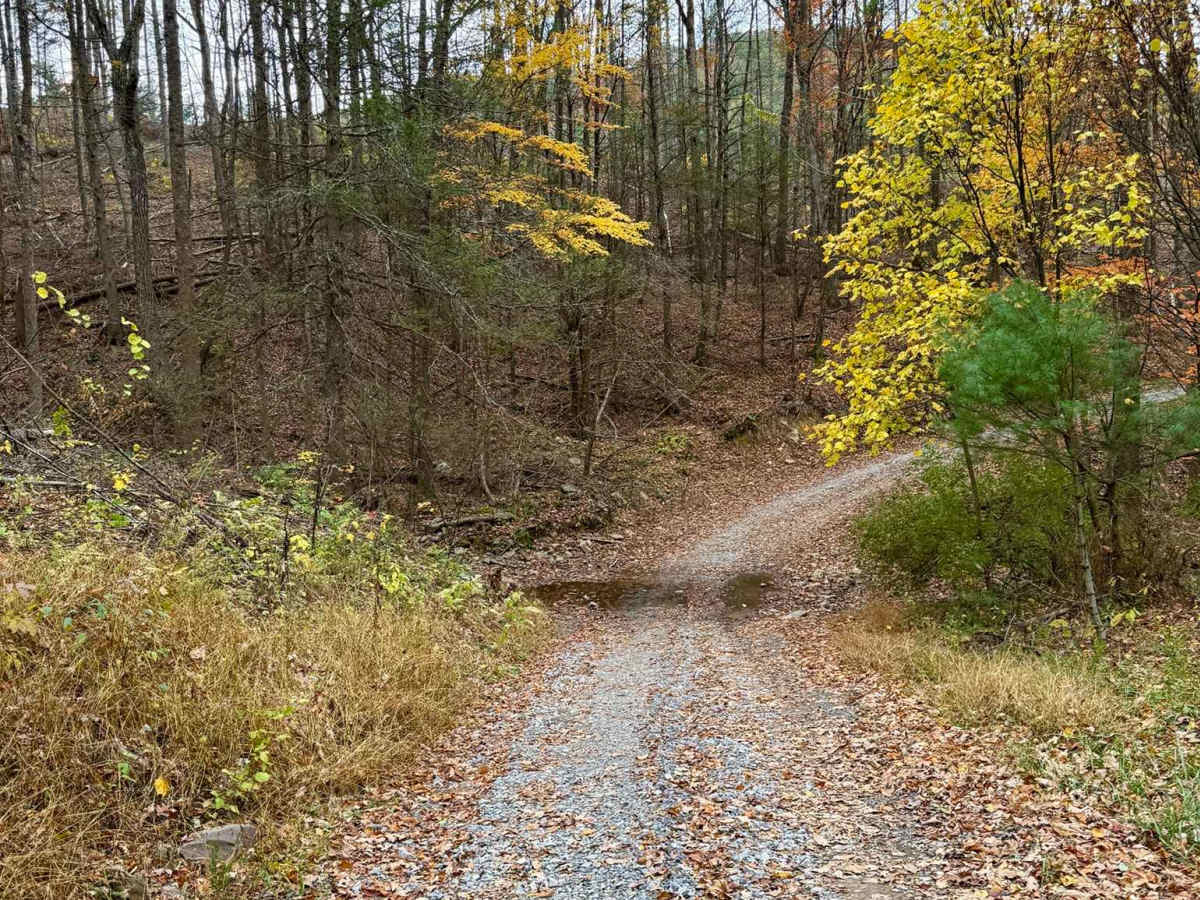 Mitchell Knob Trail trail photo