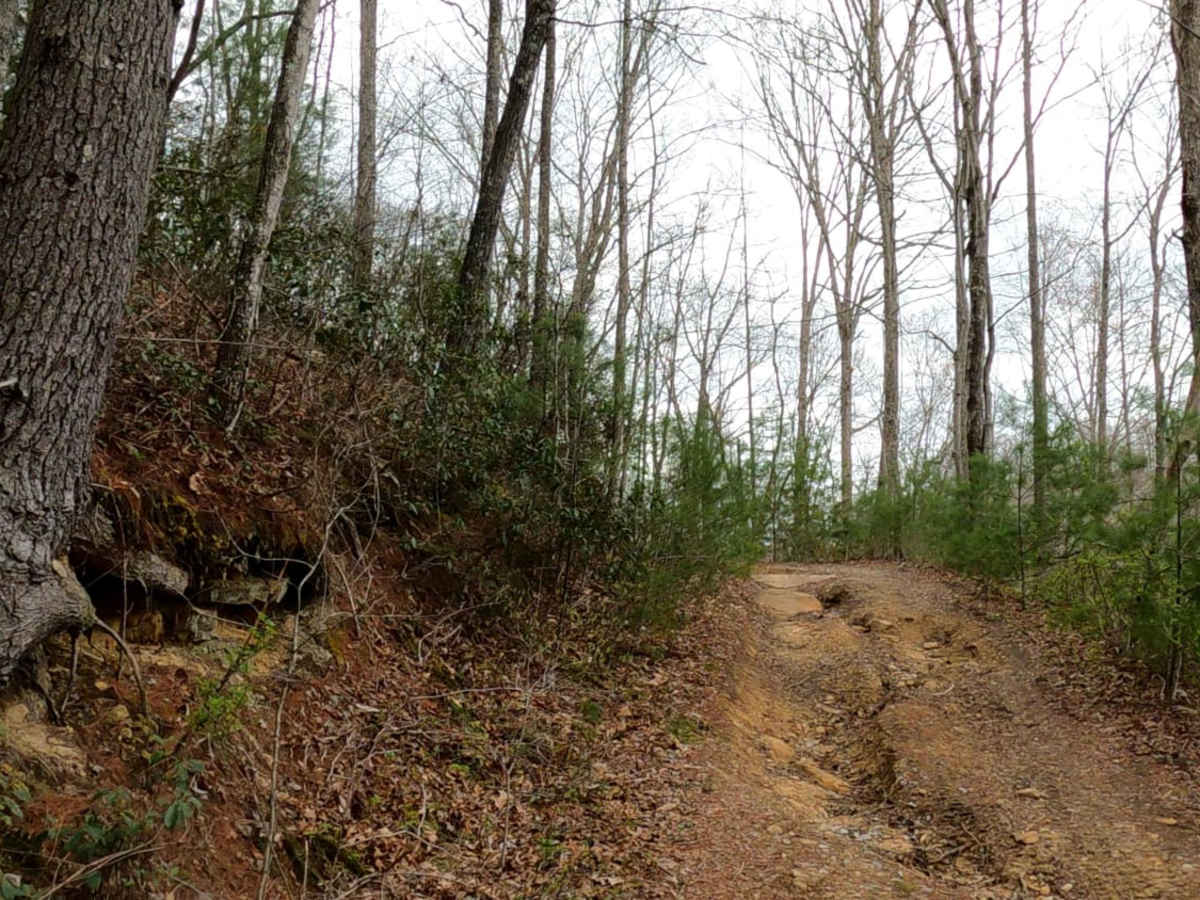 Lake Trail photo 2