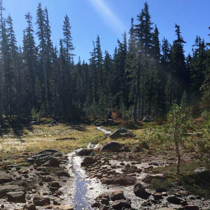 Near Santiam Pass to Olallie Lake Near Santiam Pass to Olallie Lake
