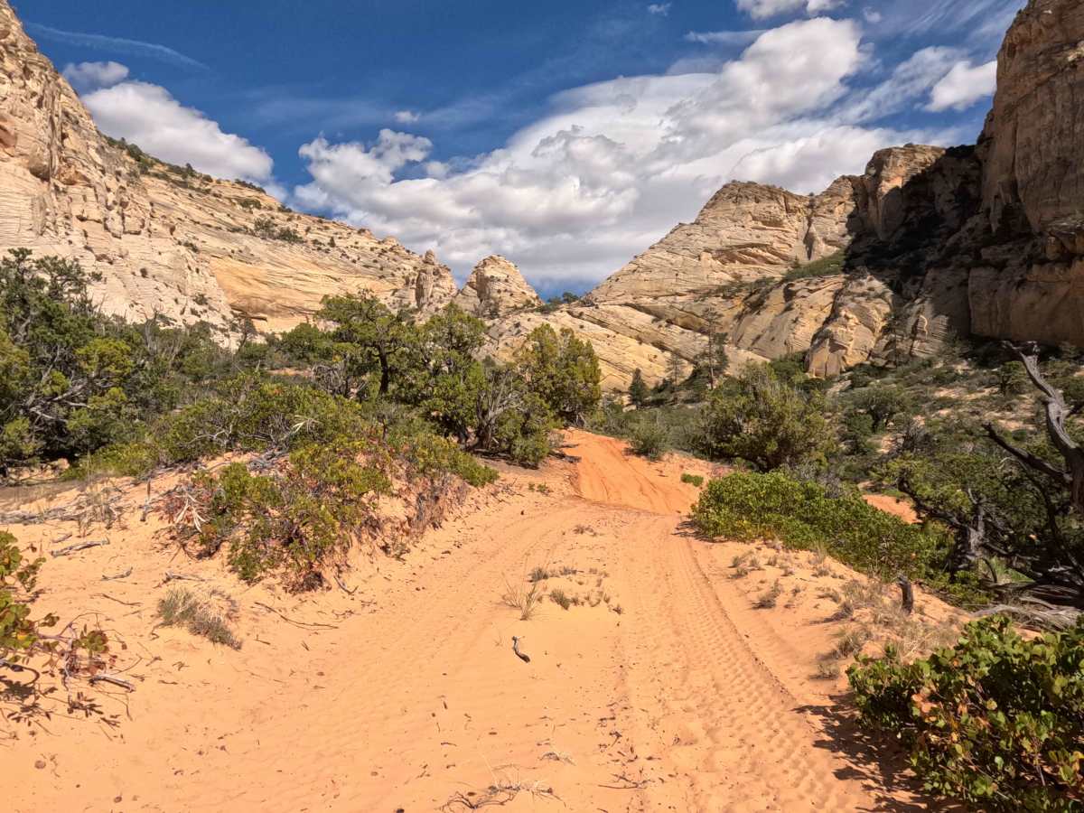 BLM 103N trail photo