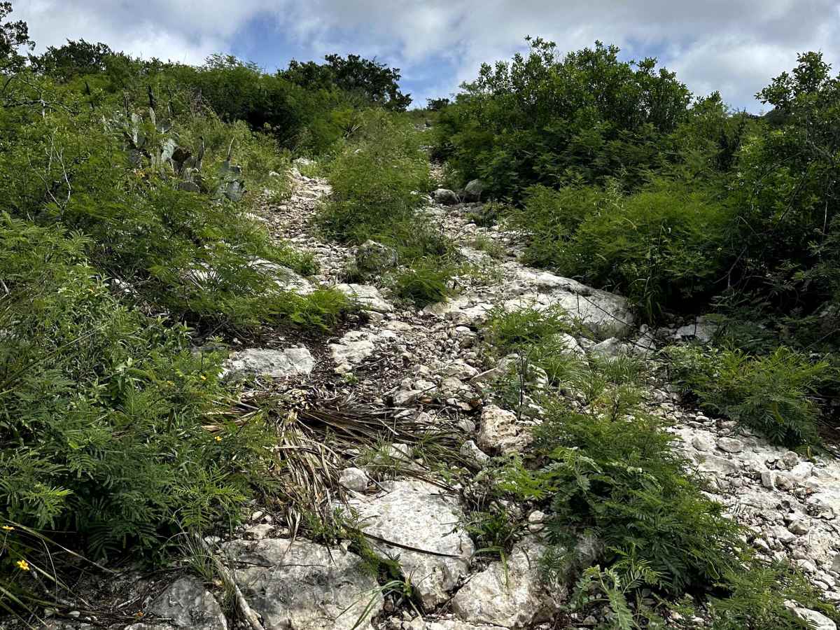 Rubicon Ridge photo 3