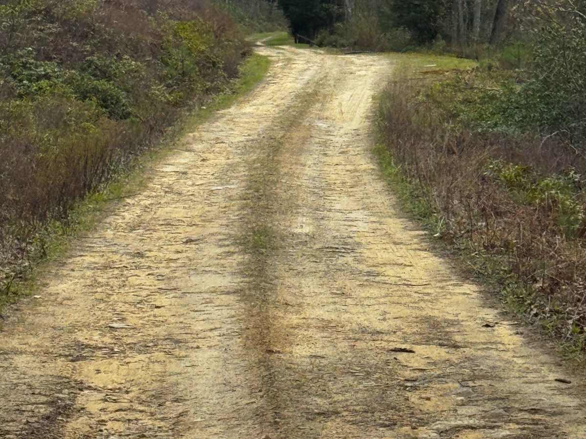 Pine Hollow Road photo 6