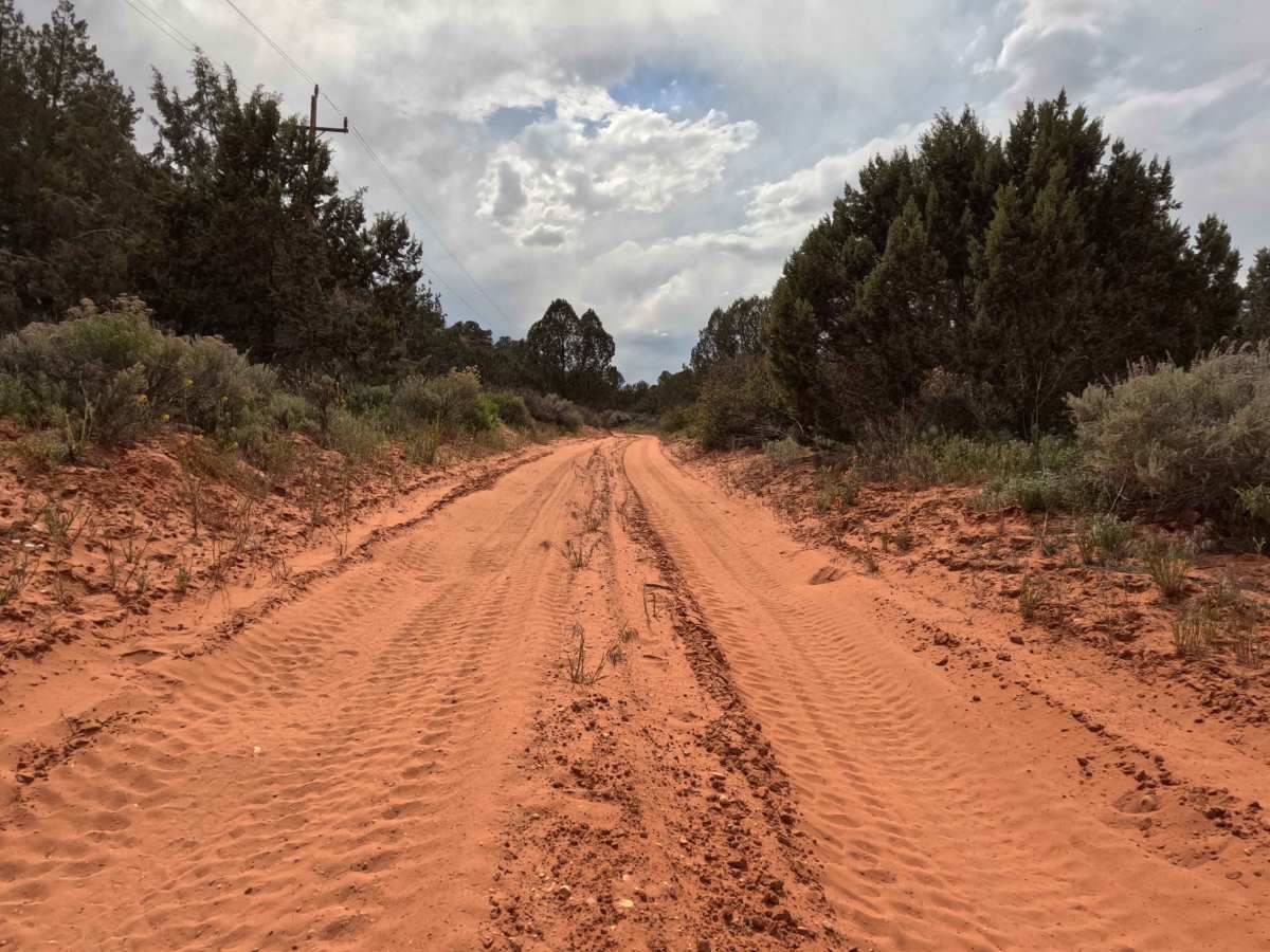 BLM 64 photo 4